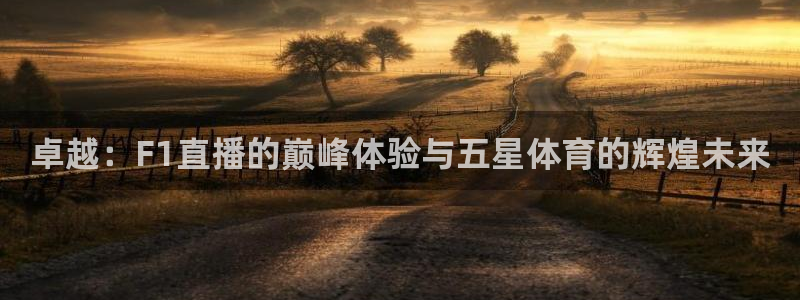 nba火凤直播：卓越：F1直播的巅峰体验与五星体育的辉煌未来