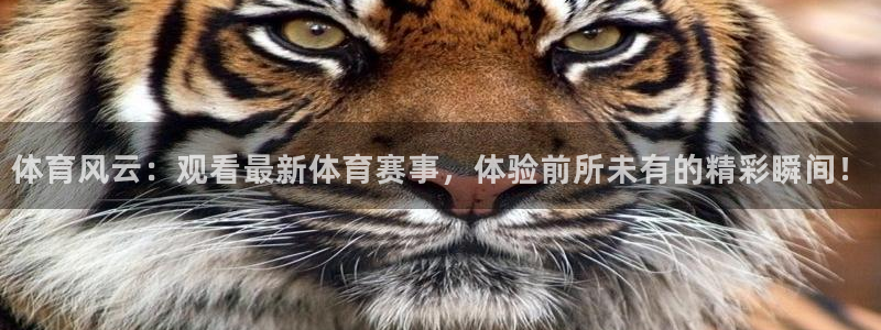 火凤足球直播在线观看：体育风云：观看最新体育赛事，体验前所未有的精彩瞬间！