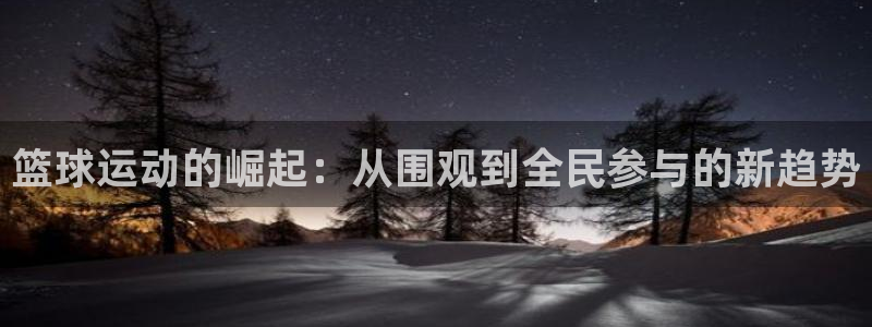 火凤体育：篮球运动的崛起：从围观到全民参与的新趋势
