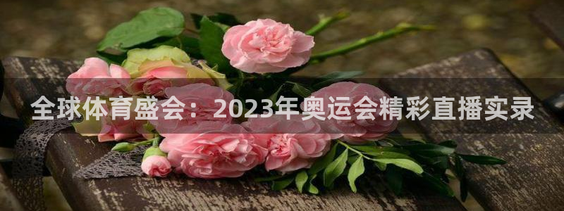 火凤斗球直播体育：全球体育盛会：2023年奥运会精彩直播实录