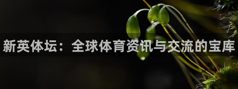 火凤体育直播高清入口：新英体坛：全球体育资讯与交流的宝库